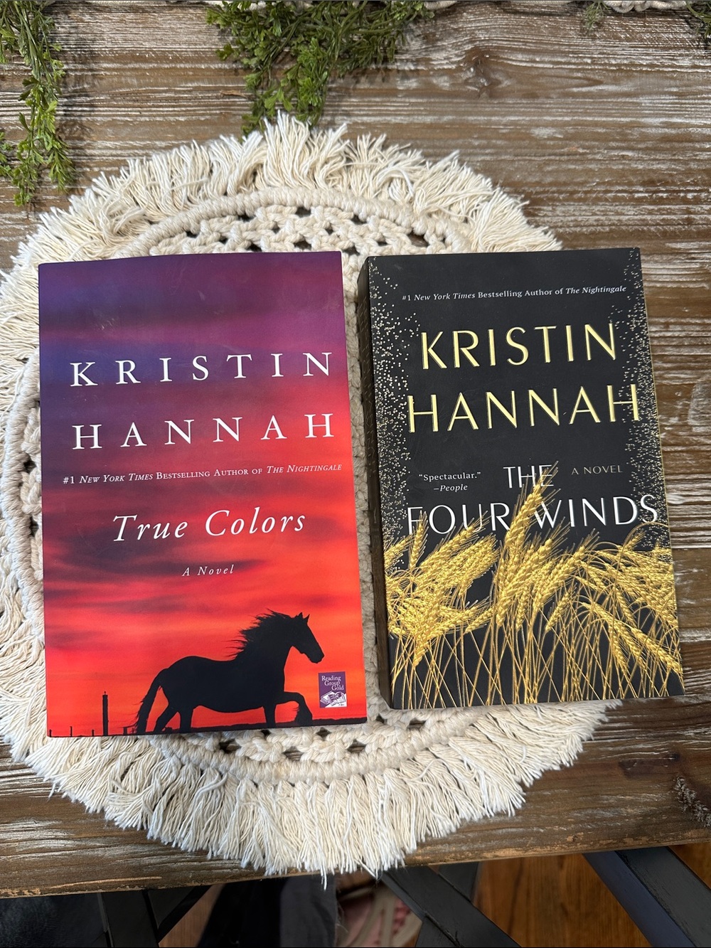 True Colors & The Four Winds Kristin Hannah Books